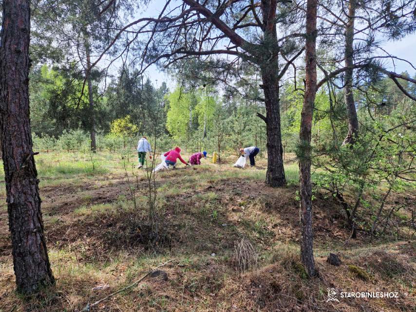 ОРГАНИЗАЦИИ И ПРЕДПРИЯТИЯ СОЛИГОРСКОГО РАЙОНА ПРИНИМАЮТ УЧАСТИЕ В ДОБРОВОЛЬНОЙ ОБЩЕСТВЕННОЙ АКЦИИ «ЛЕС! ДАБРО! ПАРАДАК!»