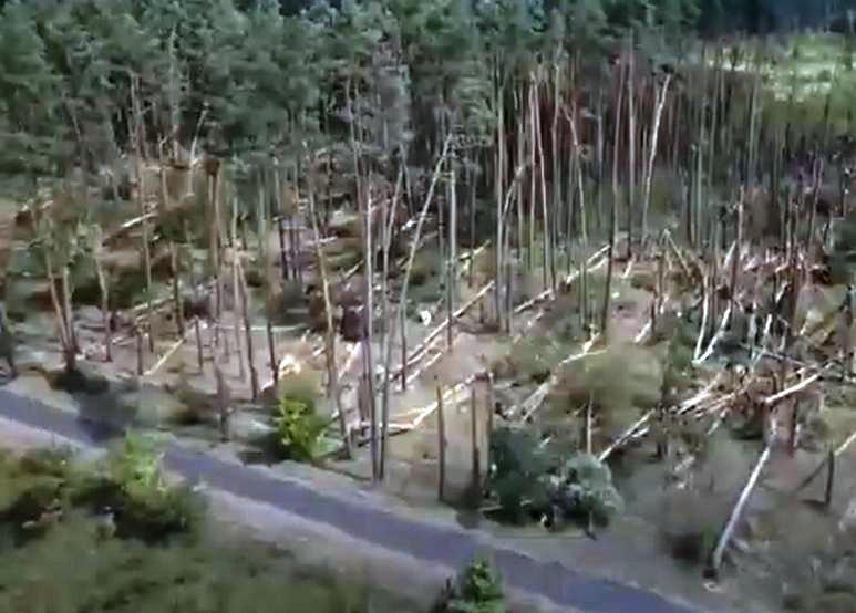 "Испытание стихией" - новый фильм Министерства лесного хозяйства! 