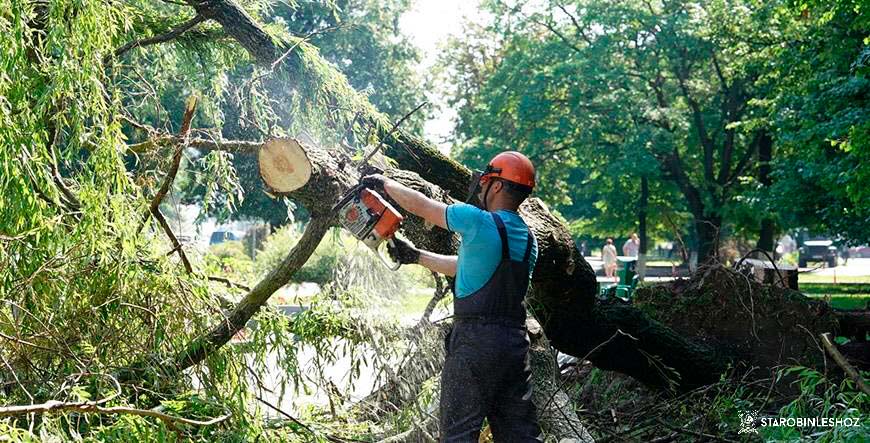 Вальщики леса помогают ликвидировать последствия урагана в Могилеве