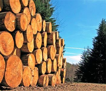 Итоги первого полугодия 2025 года