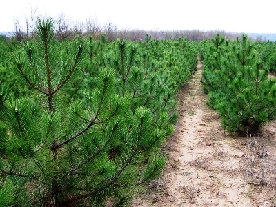 Итоги первого полугодия 2025 года