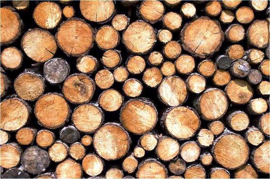 КАК ЗАГОТОВИТЬ ДРОВА?