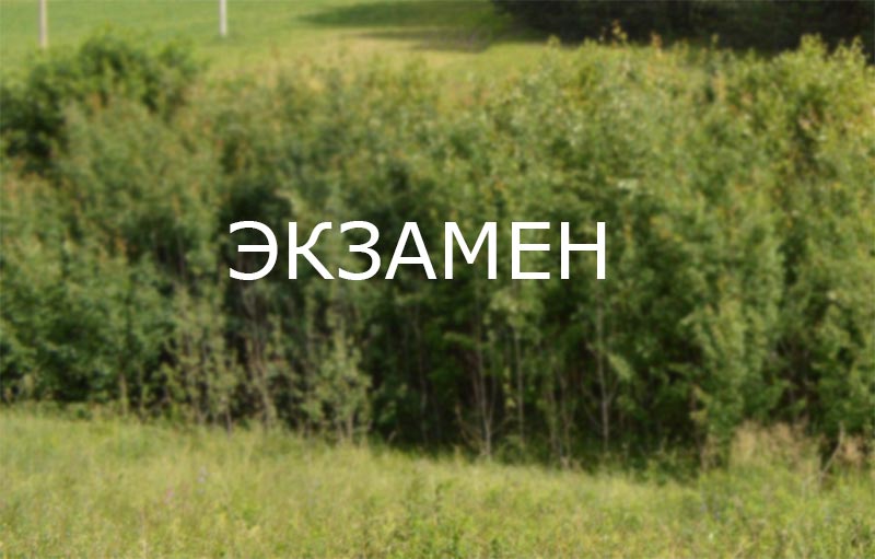 О создании комиссии по сдаче специального охотничьего экзамена