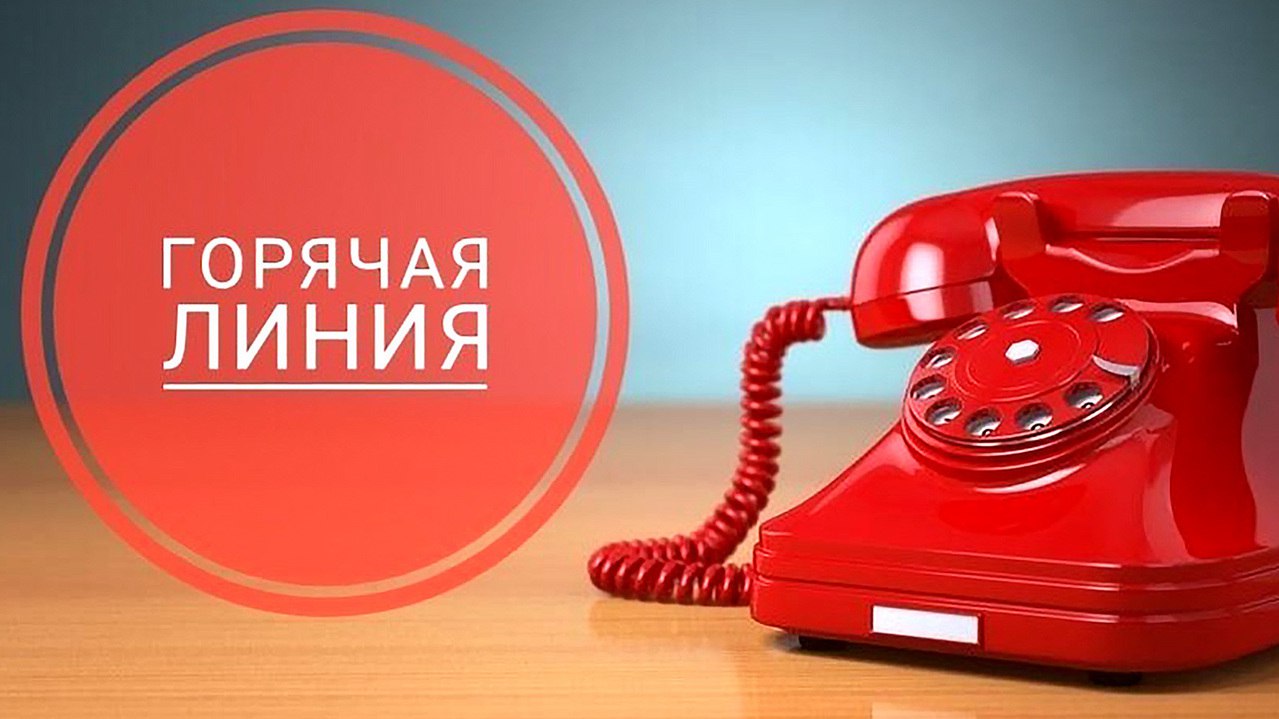 Минлесхоз запустит горячую телефонную линию по вопросам наведения порядка в лесу 