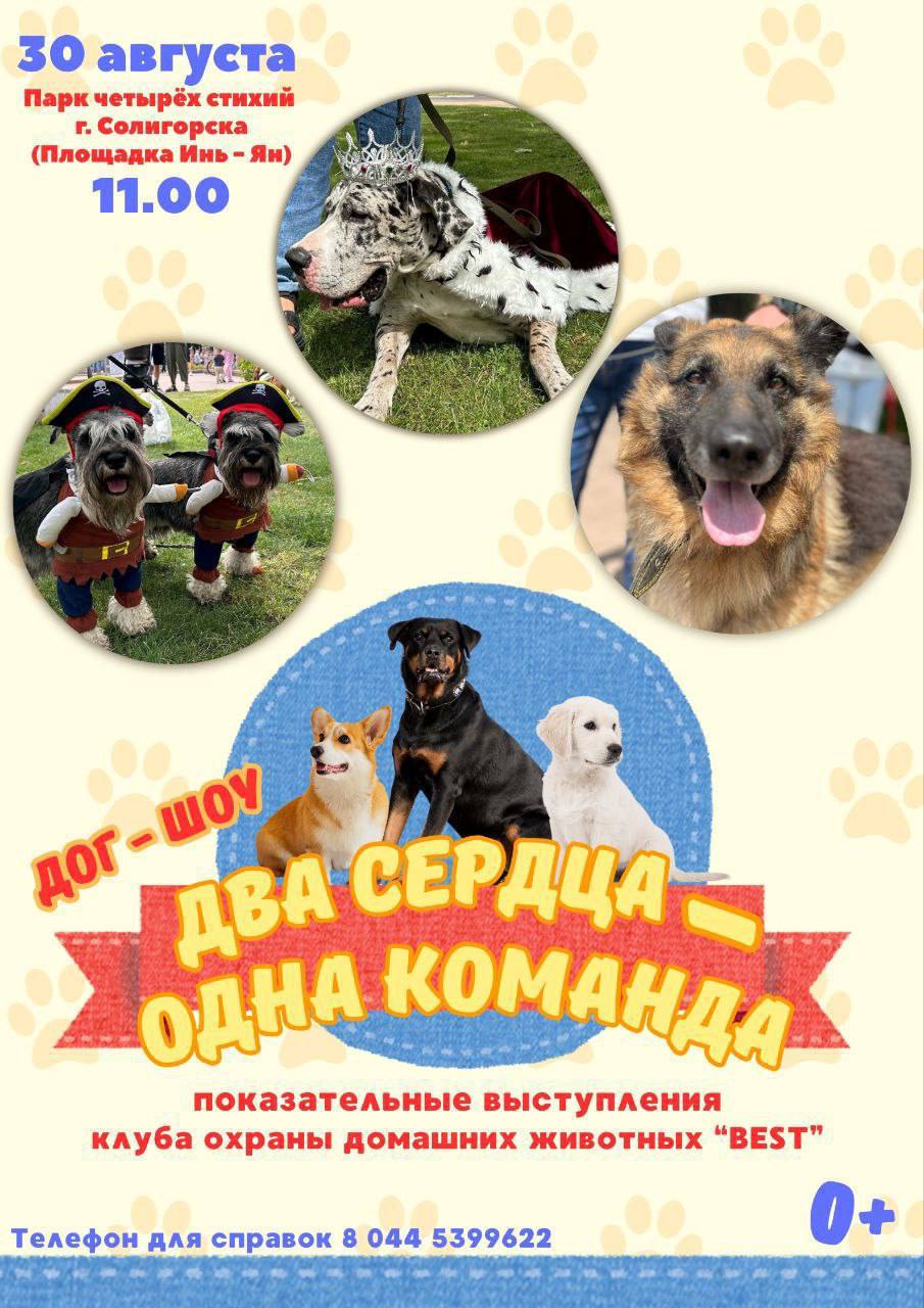 Программы мероприятий на День города