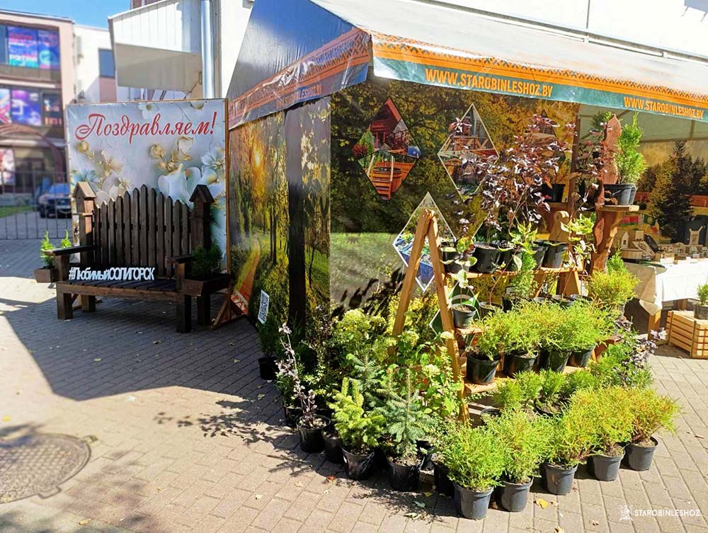 СОЛИГОРСК ОТМЕЧАЕТ ДЕНЬ ГОРОДА!