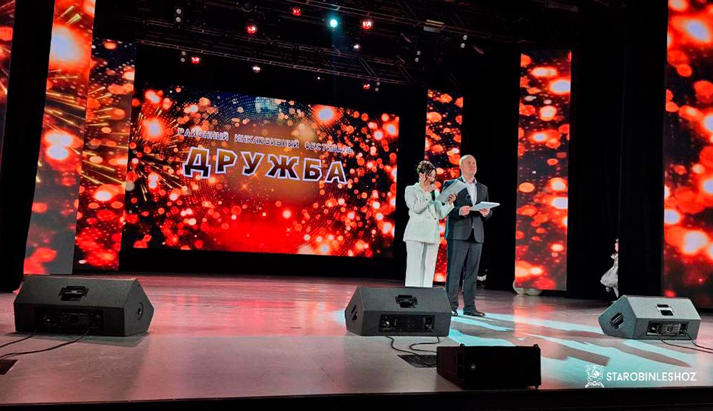 РАЙОННЫЙ ИНКЛЮЗИВНЫЙ ФЕСТИВАЛЬ "ДРУЖБА
