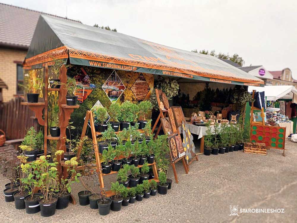 РАЙОННЫЙ ФЕСТИВАЛЬ-ЯРМАРКА ДОЖИНКИ 2025