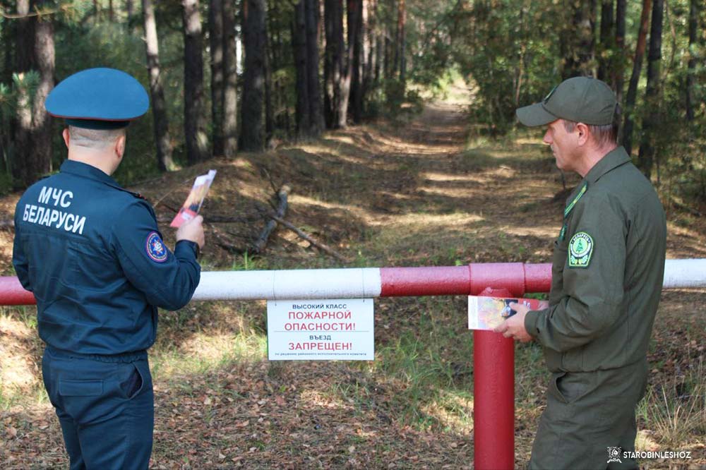 ПОЛЕВЫЕ МЕРОПРИЯТИ