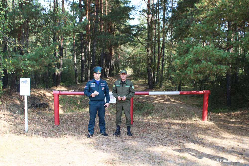 полевые мероприятия на территории лесного фонда