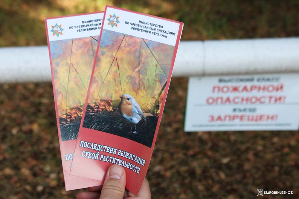 полевые мероприятия на территории лесного фонда