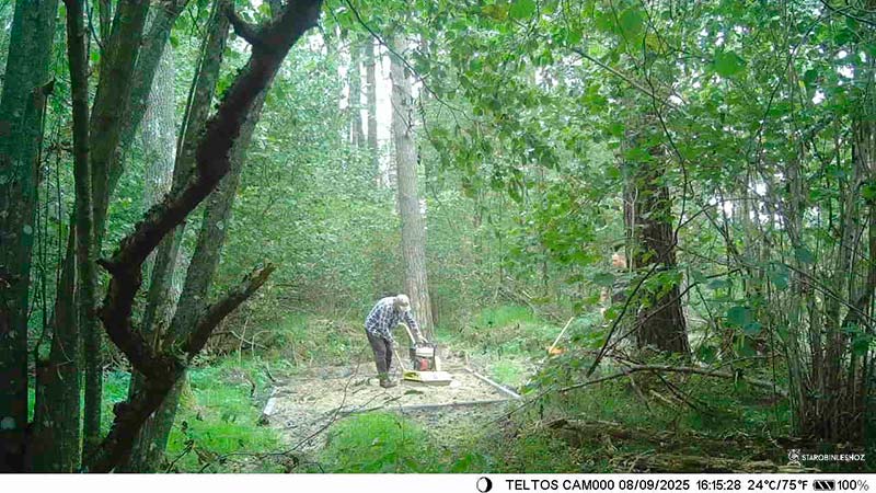 В ОБЪЕКТИВЕ ФОТОЛОВУШКИ