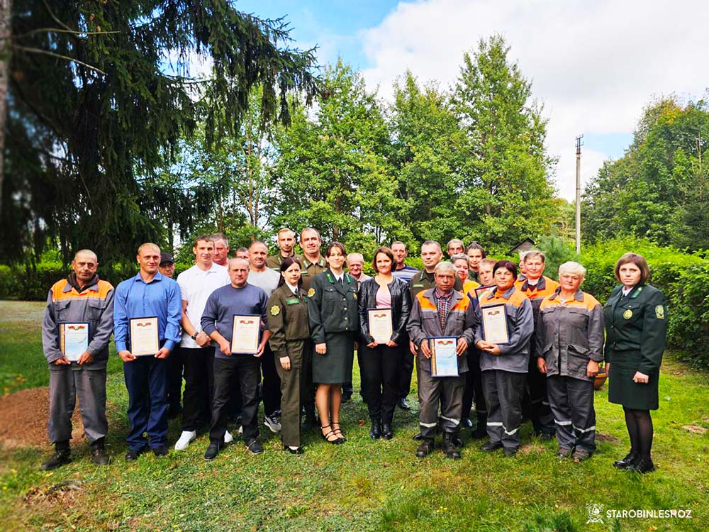 ДЕНЬ РАБОТНИКОВ ЛЕСА - 2025