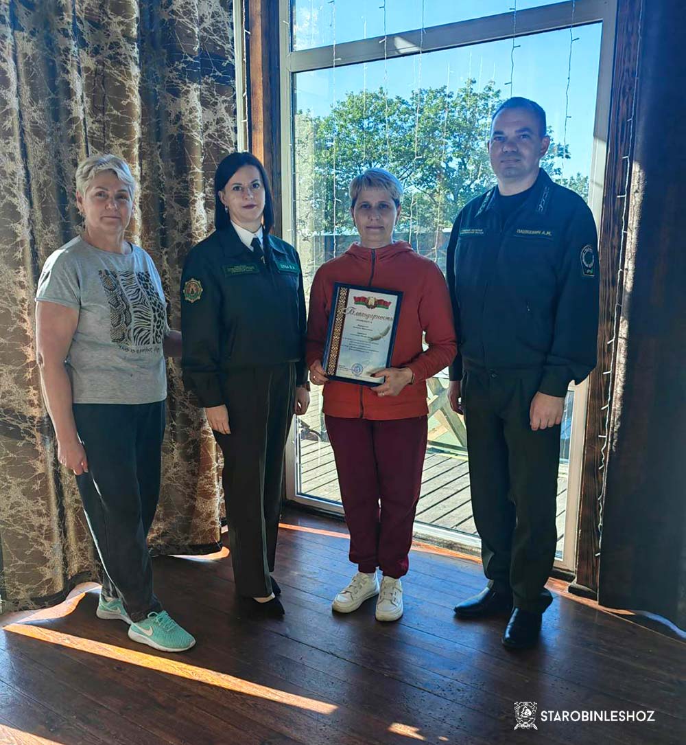 ДЕНЬ РАБОТНИКОВ ЛЕСА - 2025