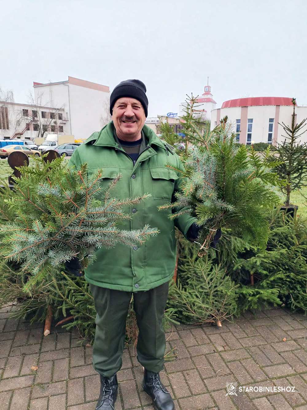 ОТКРЫЛИСЬ ЁЛОЧНЫЕ БАЗАРЫ СТАРОБИНСКОГО ЛЕСХОЗА