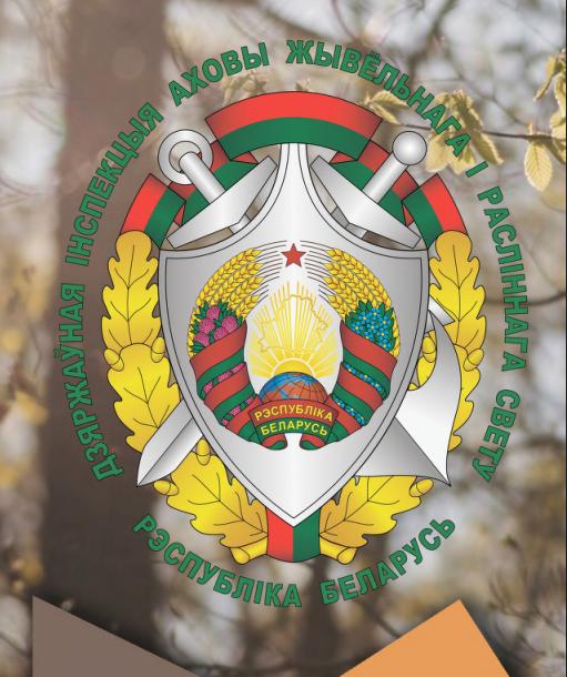 Соблюдайте правила безопасности на охоте