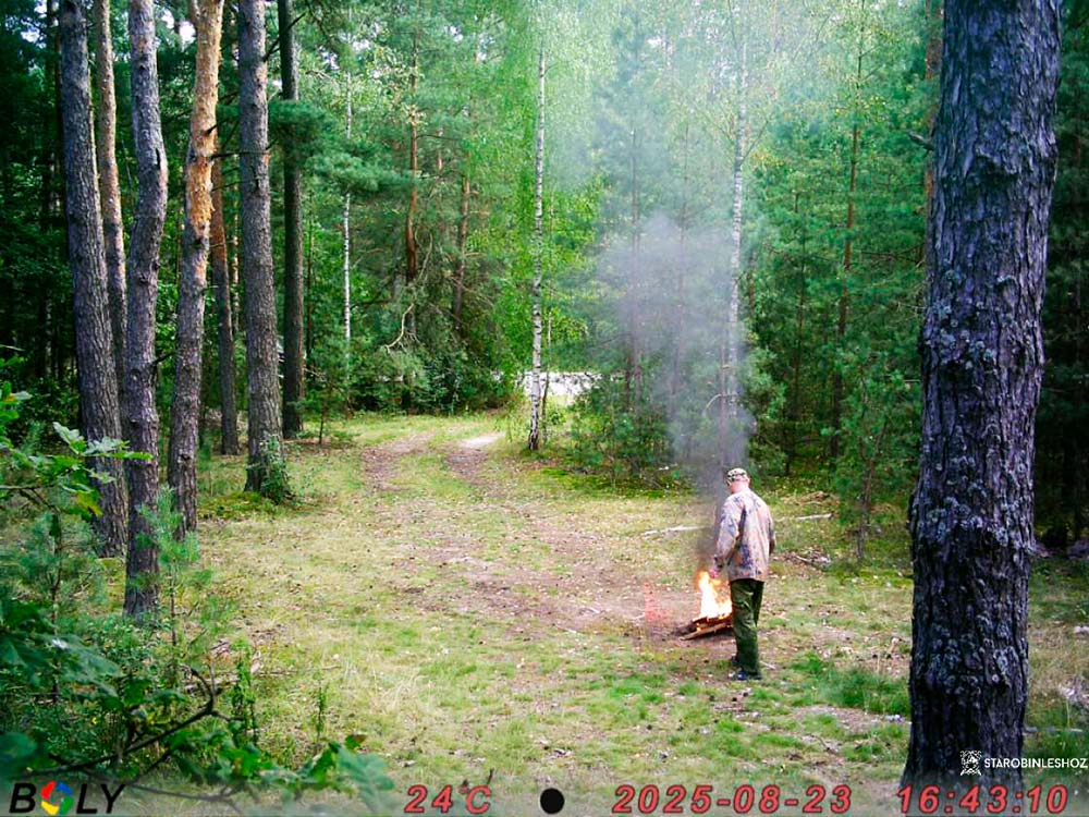 ФОТОЛОВУШКА – ПОМОЩНИК ОТДЕЛА ОХРАНЫ ЛЕСА