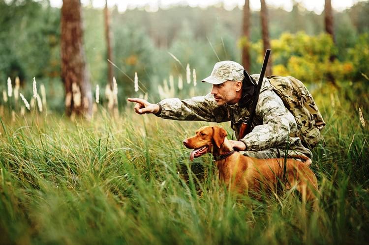 С 1 октября по 31 декабря в Минской области будет проводиться специальное комплексное мероприятие «Охота»