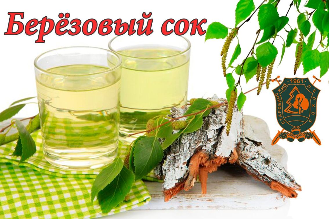 РЕАЛИЗАЦИЯ БЕРЕЗОВОГО СОКА