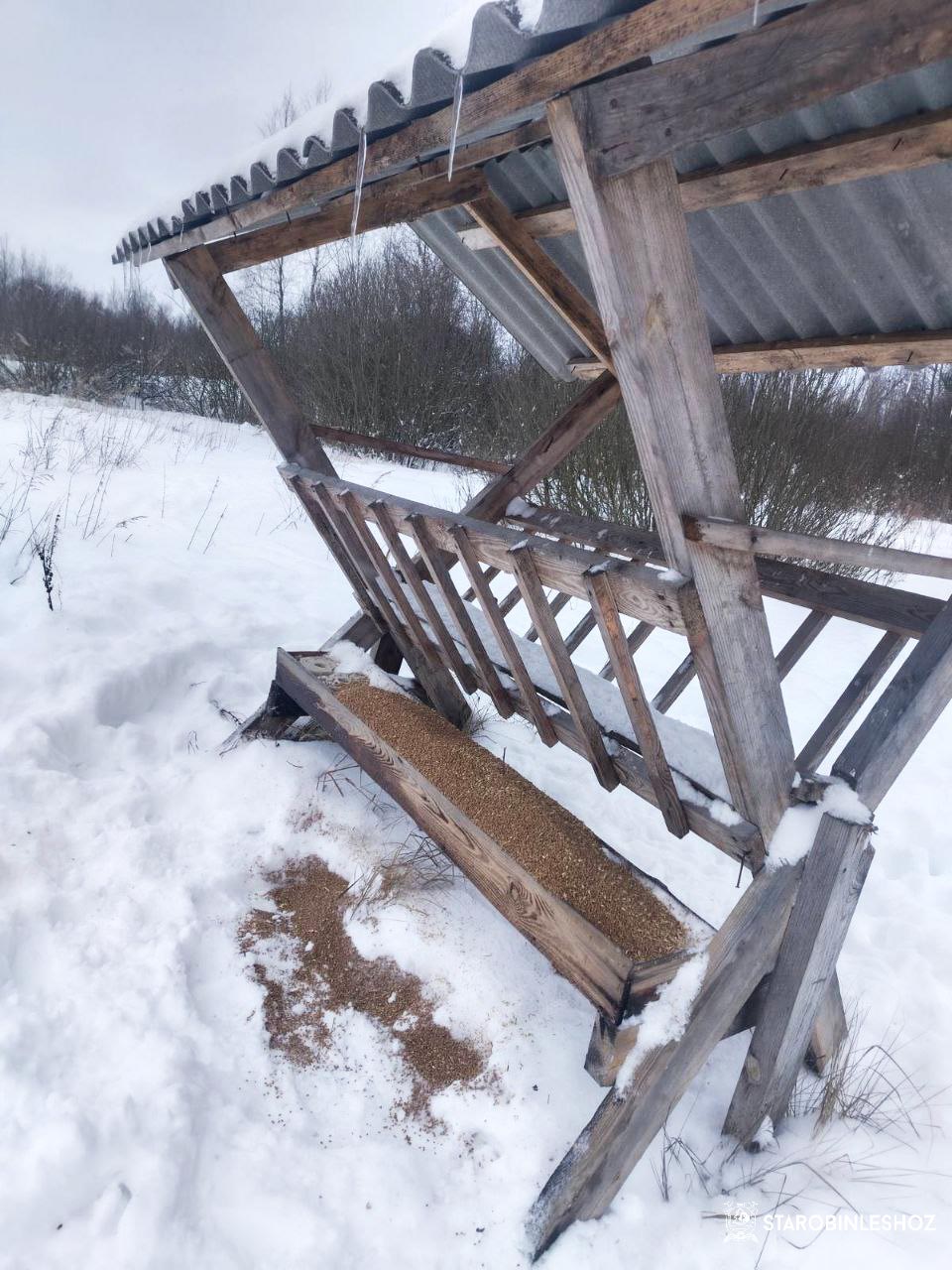 С ЗАБОТОЙ О ЖИВОТНЫХ