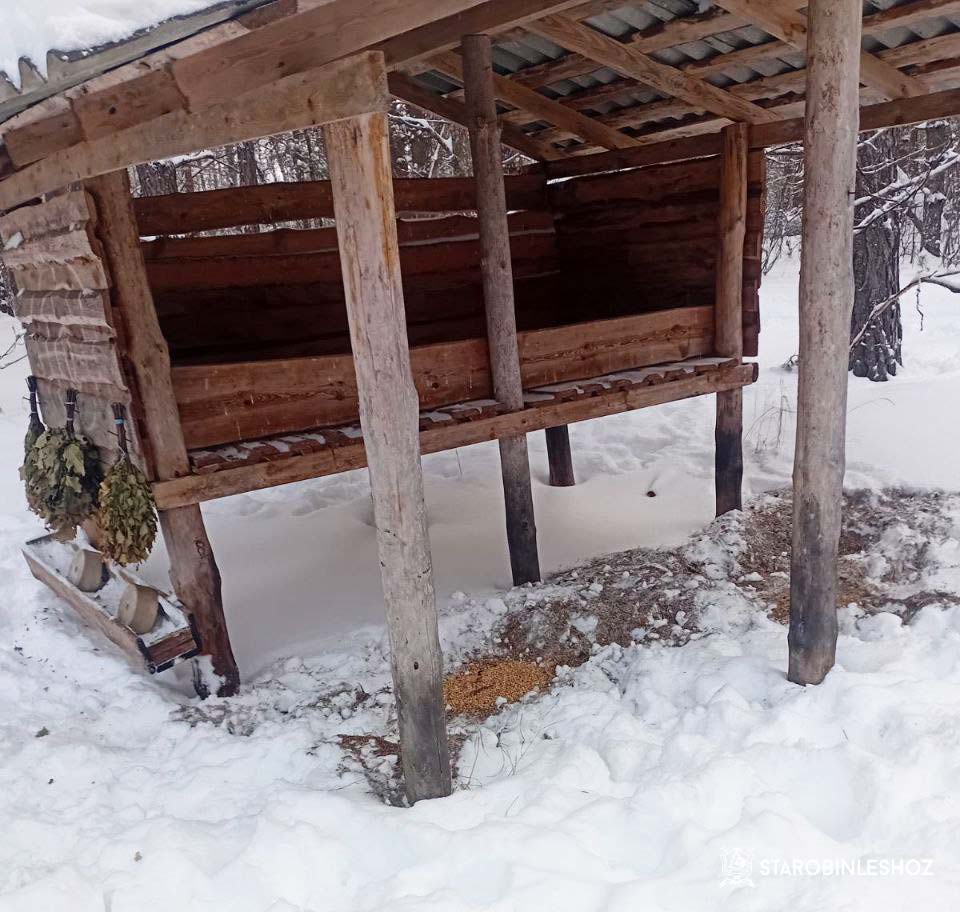 С ЗАБОТОЙ О ЖИВОТНЫХ