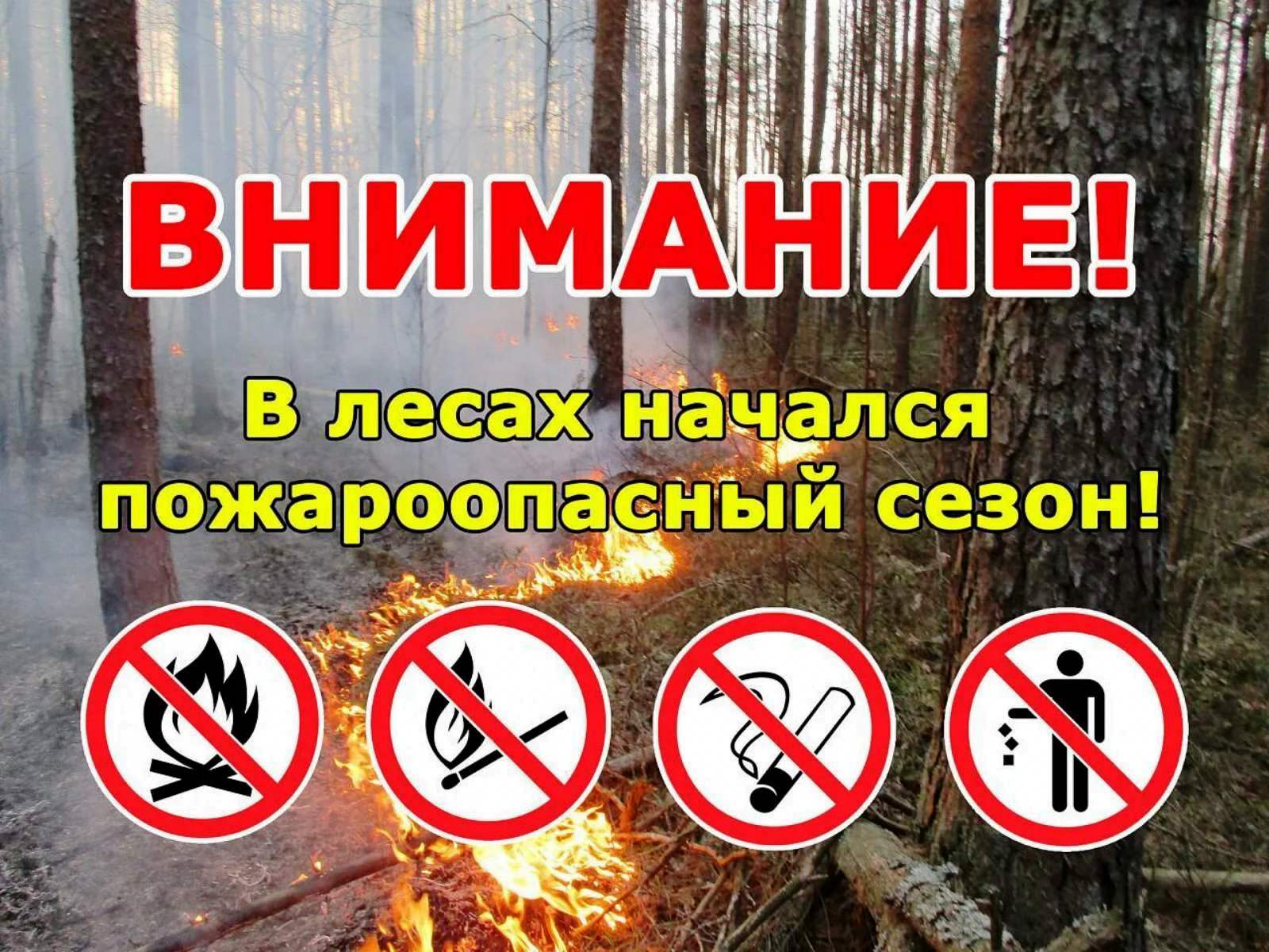 ПОЖАРООПАСНЫЙ СЕЗОН ОТКРЫТ