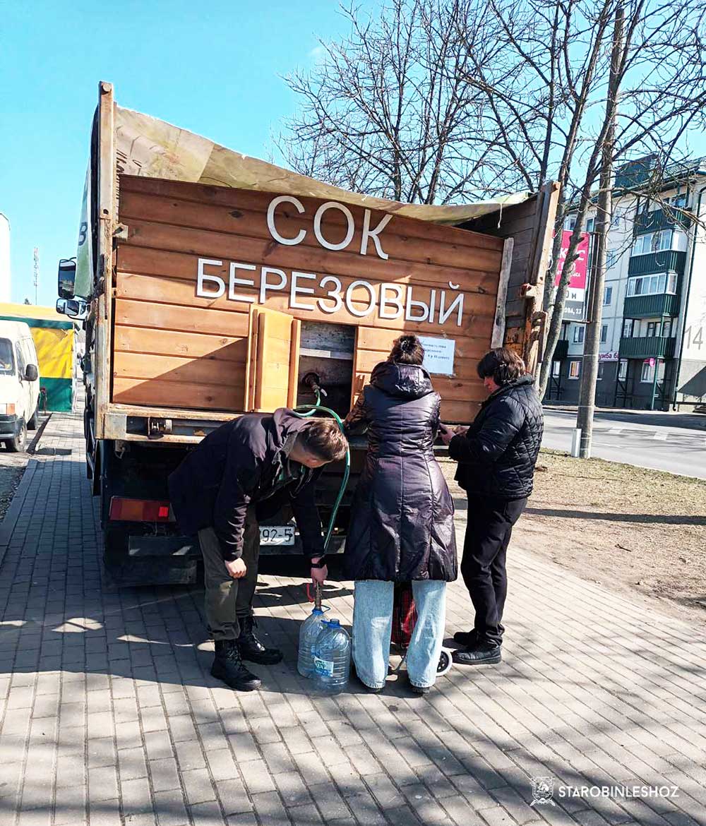 СТАРОБИНСКИЙ ЛЕСХОЗ НАЧАЛ РЕАЛИЗАЦИЮ БЕРЁЗОВОГО СОКА