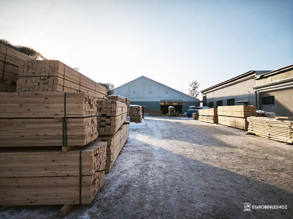 Александр Кулик В СТАРОБИНСКОМ ЛЕСХОЗЕ