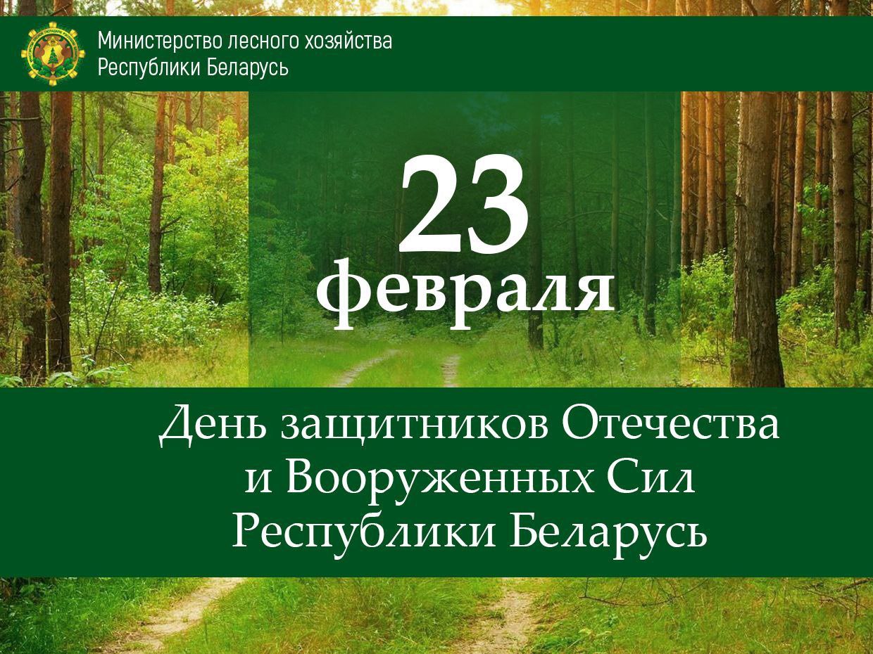 Уважаемые работники и ветераны лесного хозяйства! 