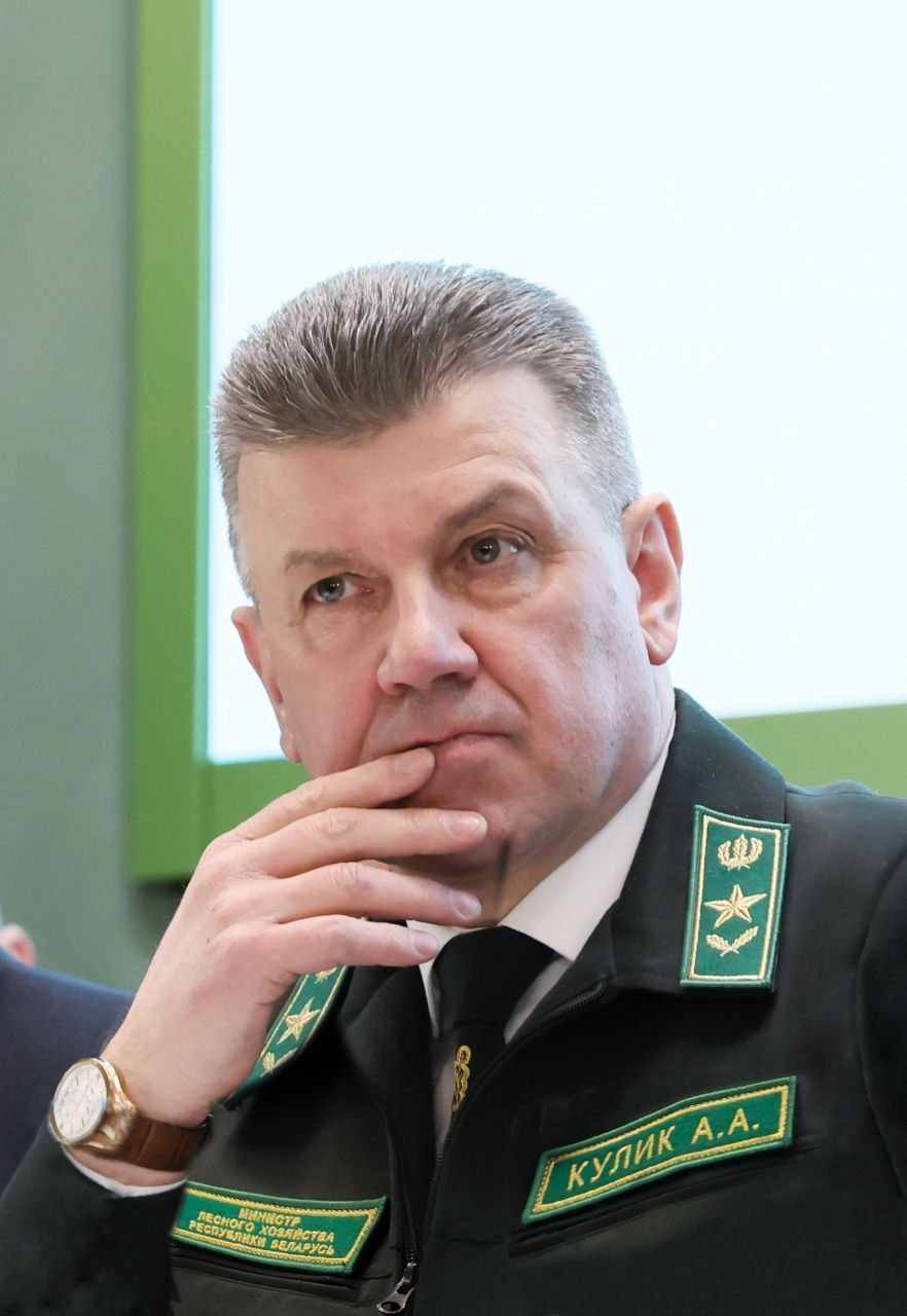 Дорогие коллеги! Уважаемые ветераны лесной отрасли!