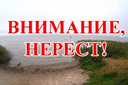 СКМ «Нерест»