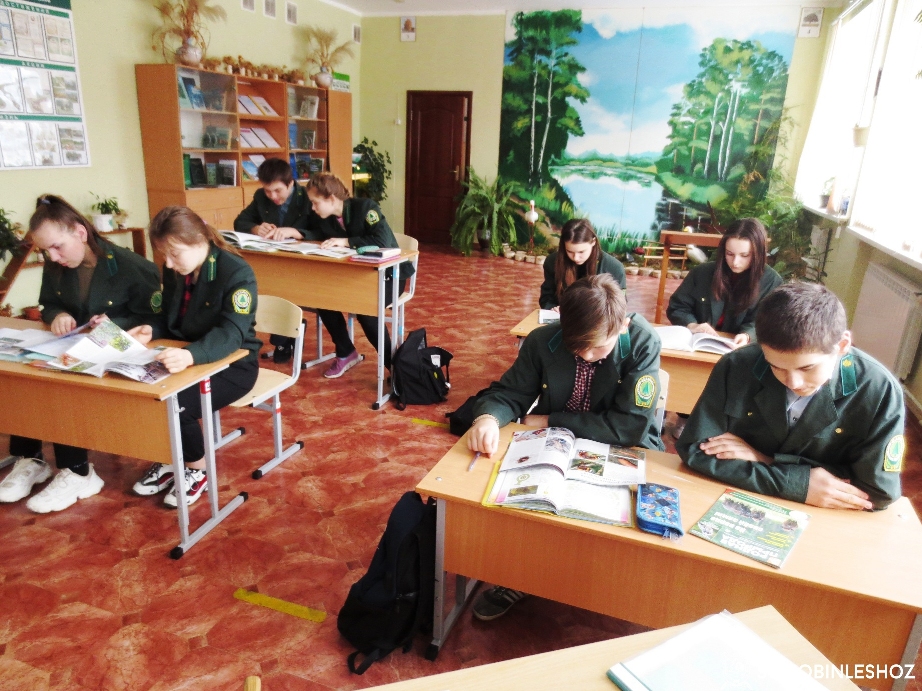 Школьное лесничество Сковшинского учебно-педагогического комплекса