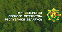 Официальный сайт Министерства лесного хозяйства Республики Беларусь