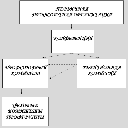 структура первичной профсоюзной организации схема