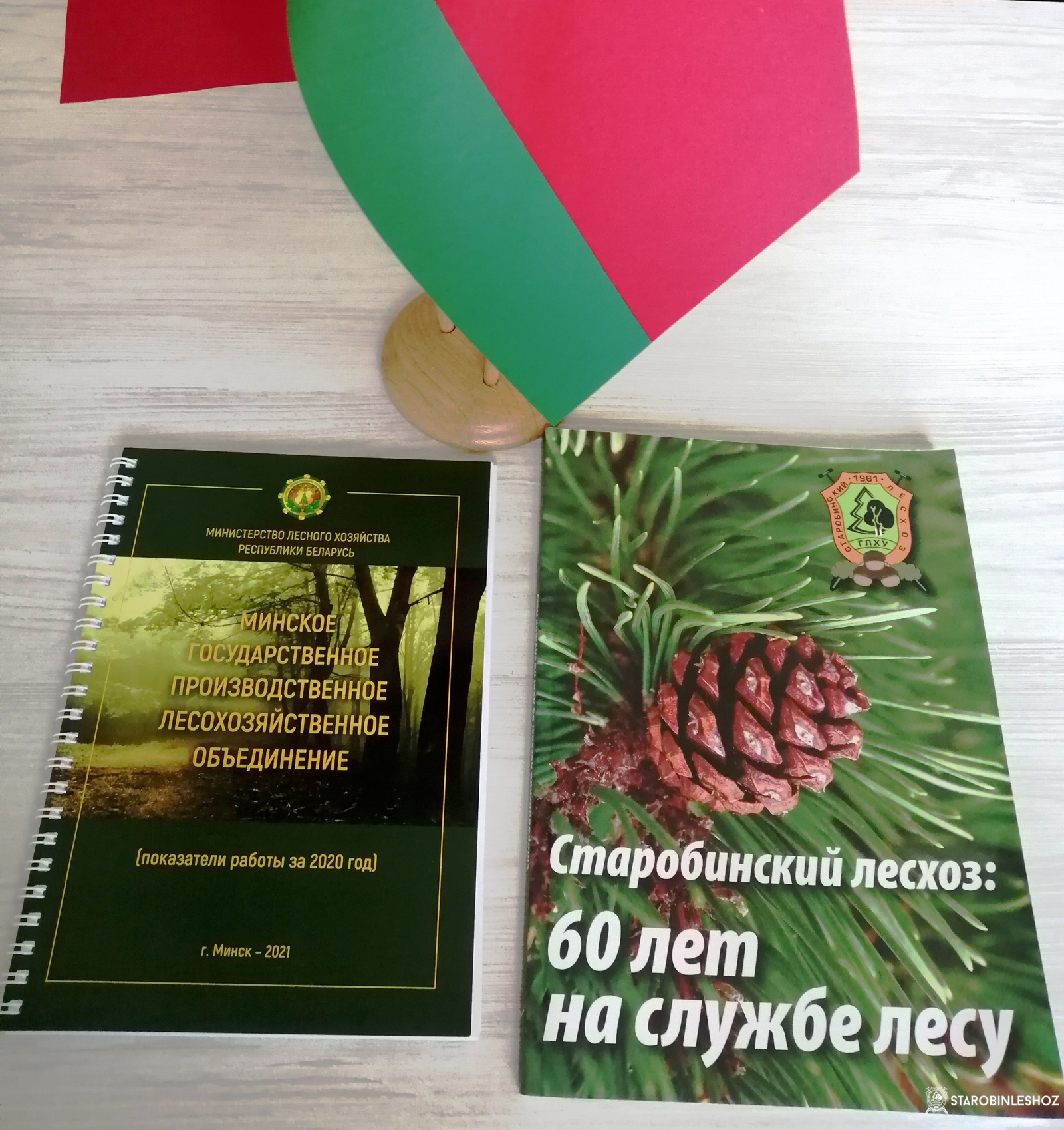 Лесхоз – участник акции дарения «Книги с привкусом СОЛИ»
