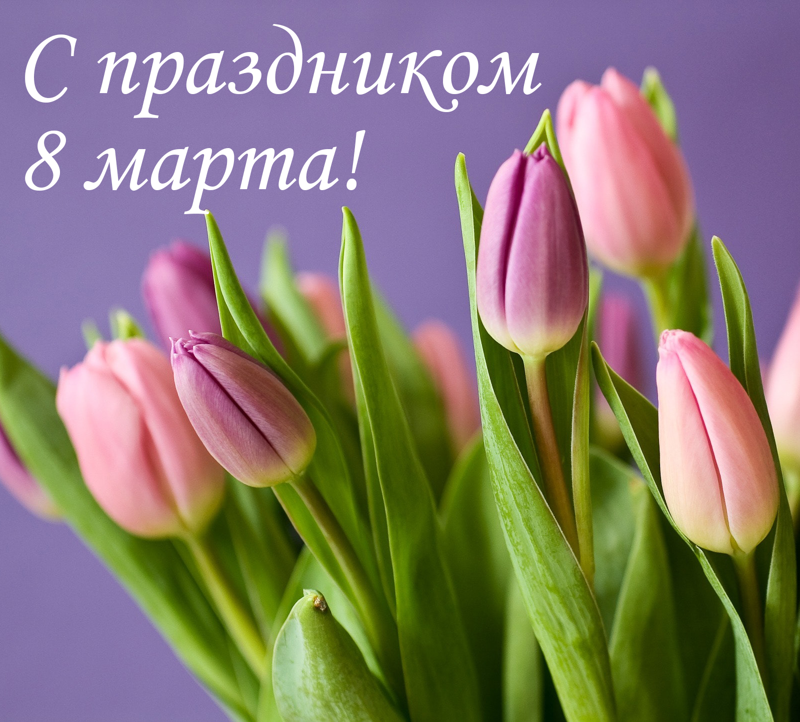 Примите поздравления С 8 марта!
