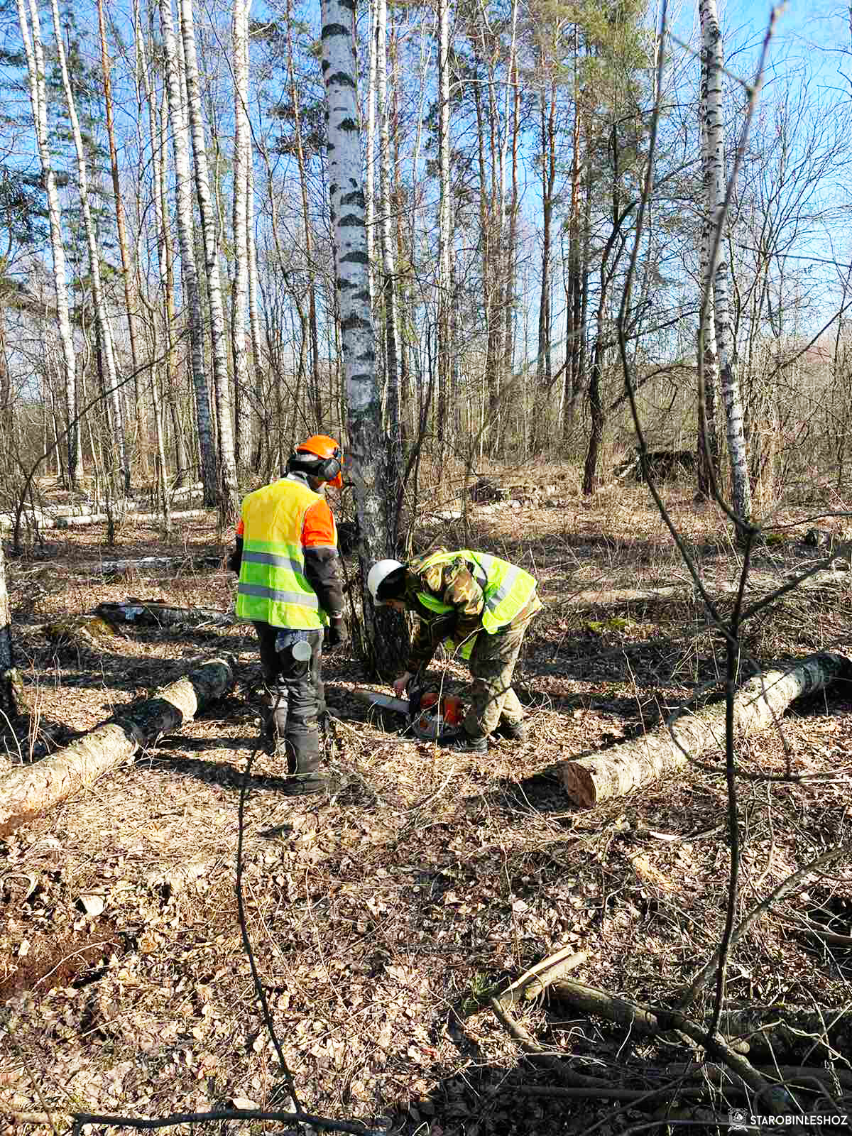 С 14 по 18 марта 2022 г. в Старобинском лесхозе прошла неделя охраны труда