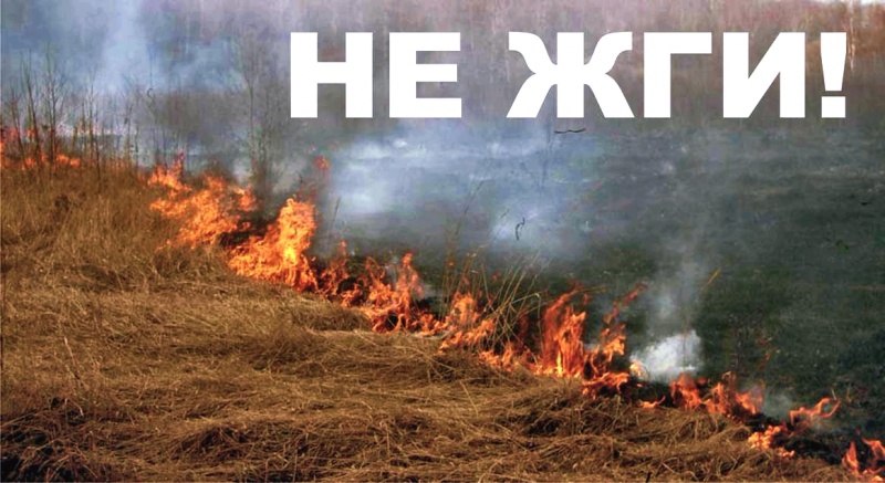 Старобинский лесхоз напоминает, что на территории Солигорского района установлен 3 (третий) класс пожарной опасности.