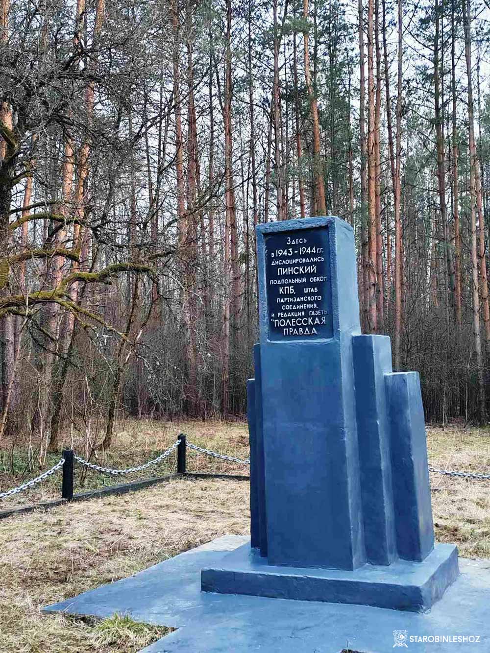 Акция «Лес! Дабро! Парадак!» 