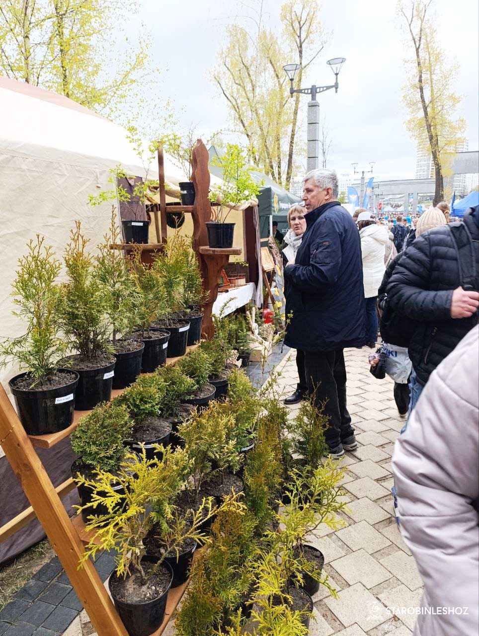 МАСШТАБНАЯ МАЕВКА В СТОЛИЧНОМ ПАРКЕ ПОБЕДЫ!