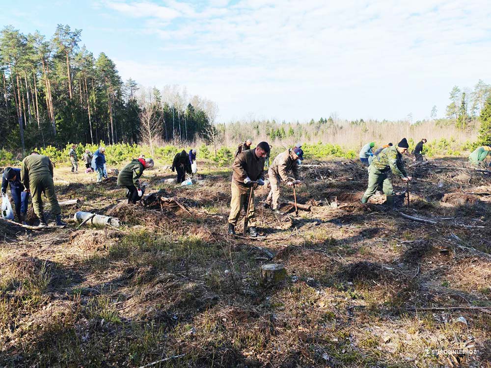 Участвуем в акции