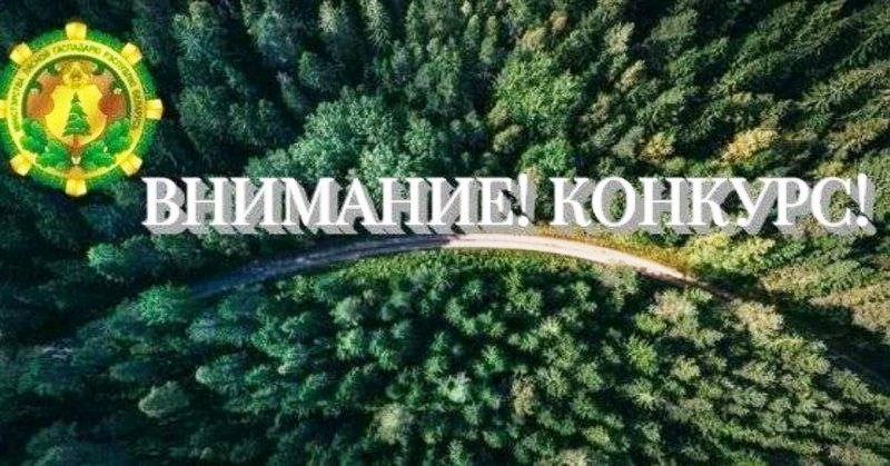 ПРИГЛАШАЕМ ЖУРНАЛИСТОВ И БЛОГЕРОВ ПРИНЯТЬ УЧАСТИЕ В ТВОРЧЕСКОМ КОНКУРСЕ