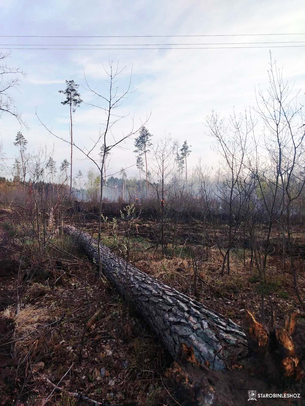 ПОЖАРООПАСНЫЙ СЕЗОН