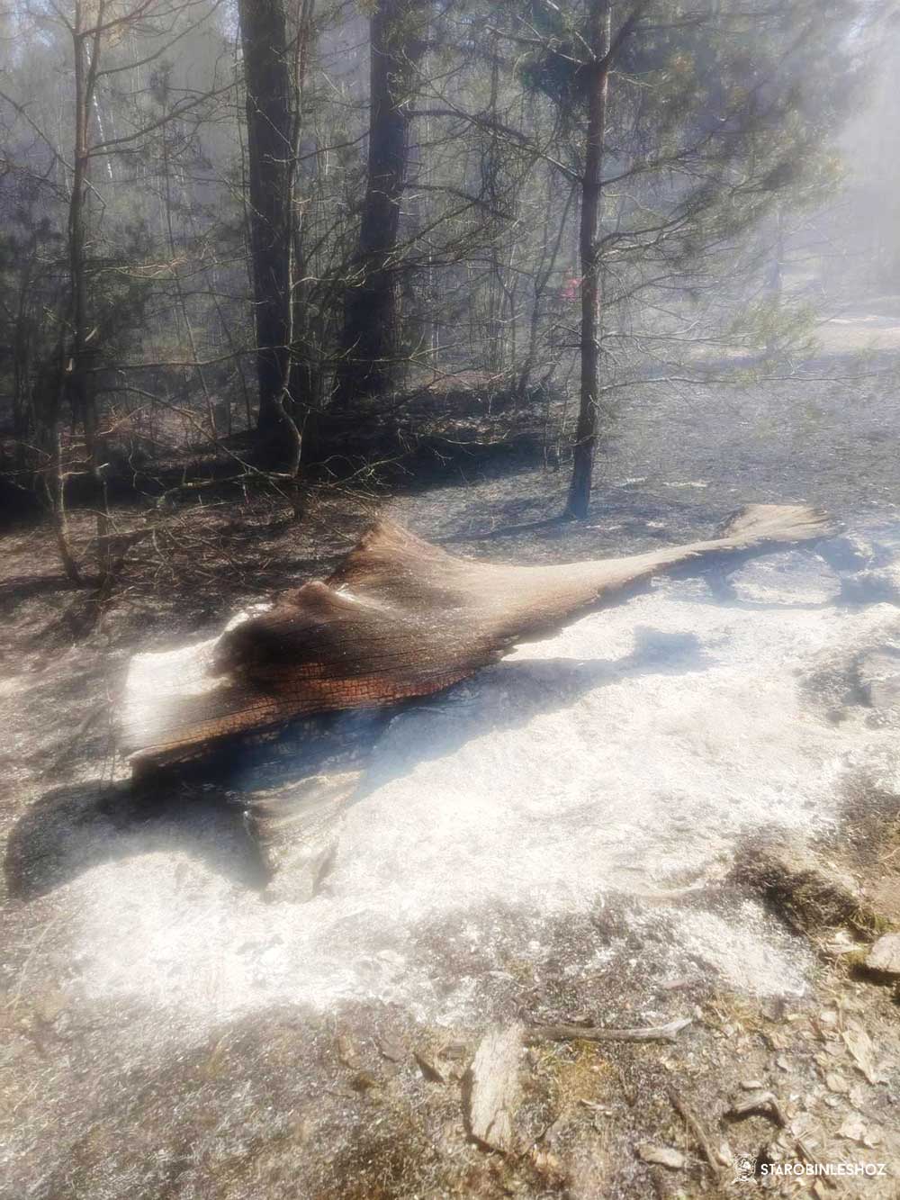 ПОЖАРООПАСНЫЙ СЕЗОН