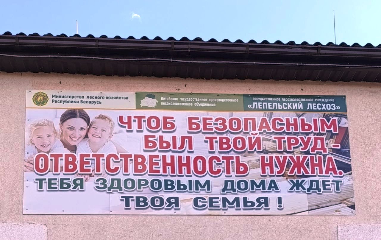 Жизненно важная обязанность