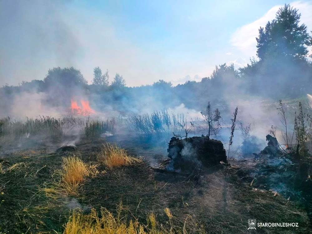 ЛИКВИДАЦИЯ ПОЖАРА ЛИКВИДАЦИЯ ПОЖАРА