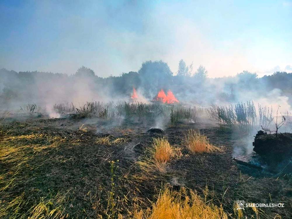 ЛИКВИДАЦИЯ ПОЖАРА ЛИКВИДАЦИЯ ПОЖАРА