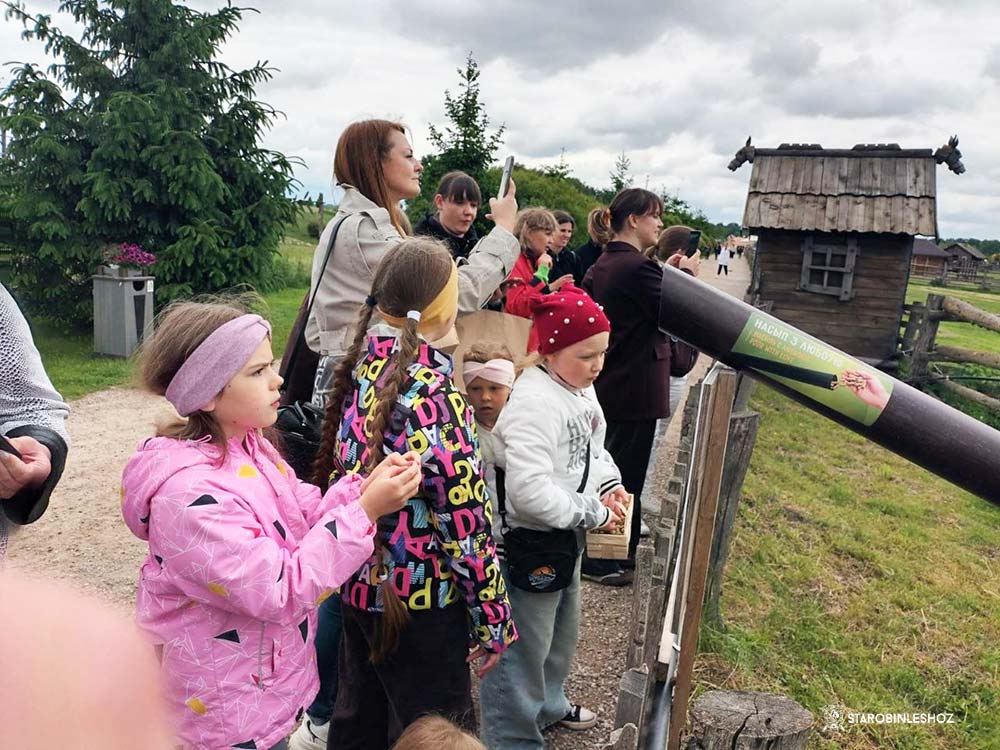 ЭКСКУРСИЯ В МИРЕ ЖИВОТНЫХ