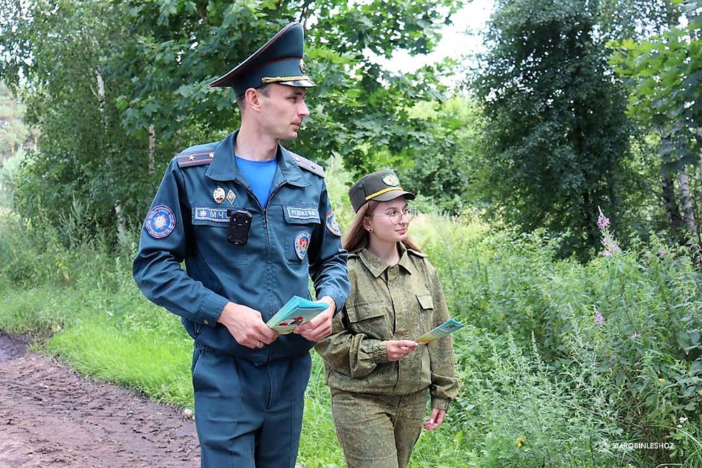 СПЕЦИАЛЬНОЕ ПРОФИЛАКТИЧЕСКОЕ МЕРОПРИЯТИЕ "ЗЕЛЕНЫЙ ЩИТ"