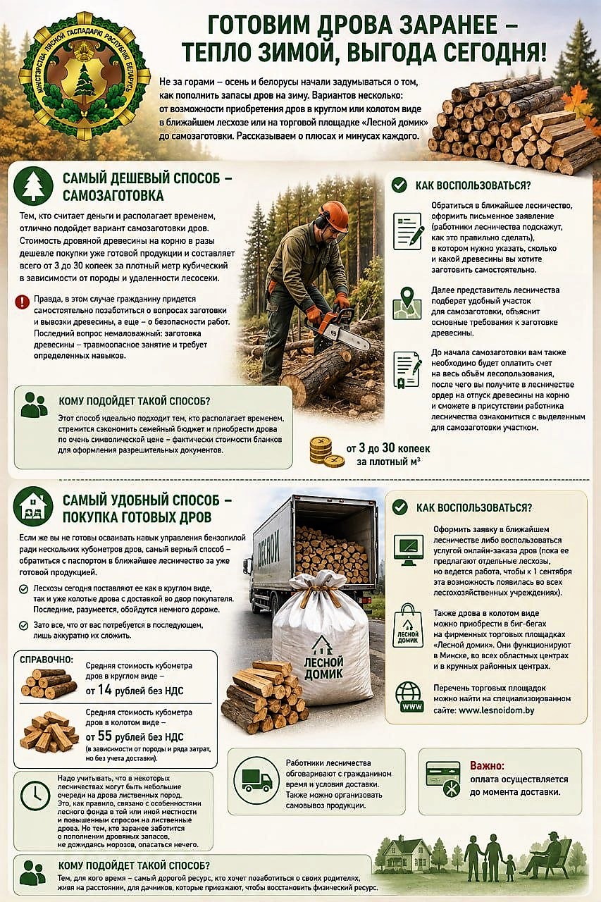 Как купить дрова всего за 3 копейки? Напоминаем о способах приобретения дров